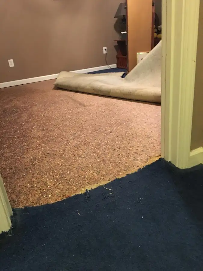 Carpet pad removal revealing water damage during Water Mitigation Services in Tracyton