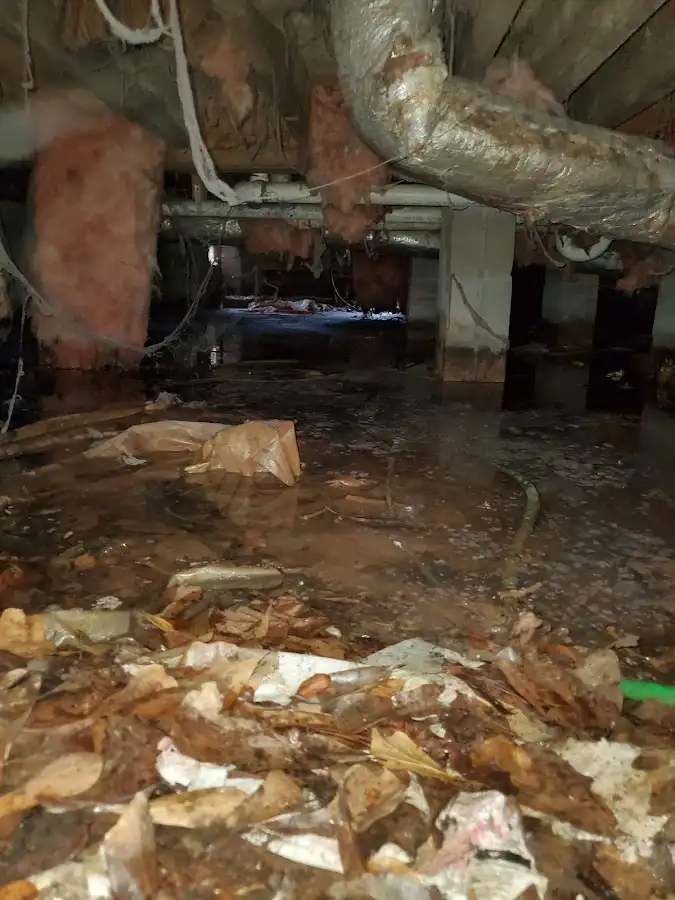 Crawl space flood assessment for Leak Detection & Repair in Tracyton