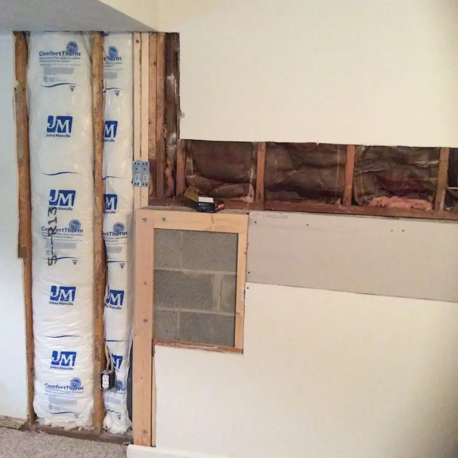 Wall insulation replacement during Odor Removal & Deodorization in Tracyton